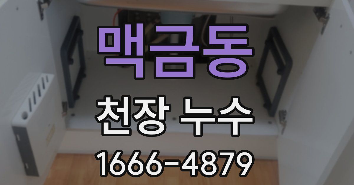 맥금동 천장 누수