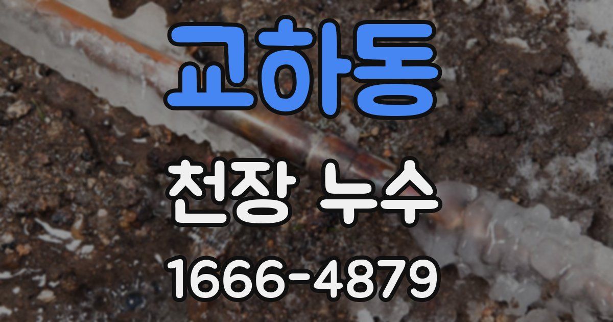교하동 천장 누수