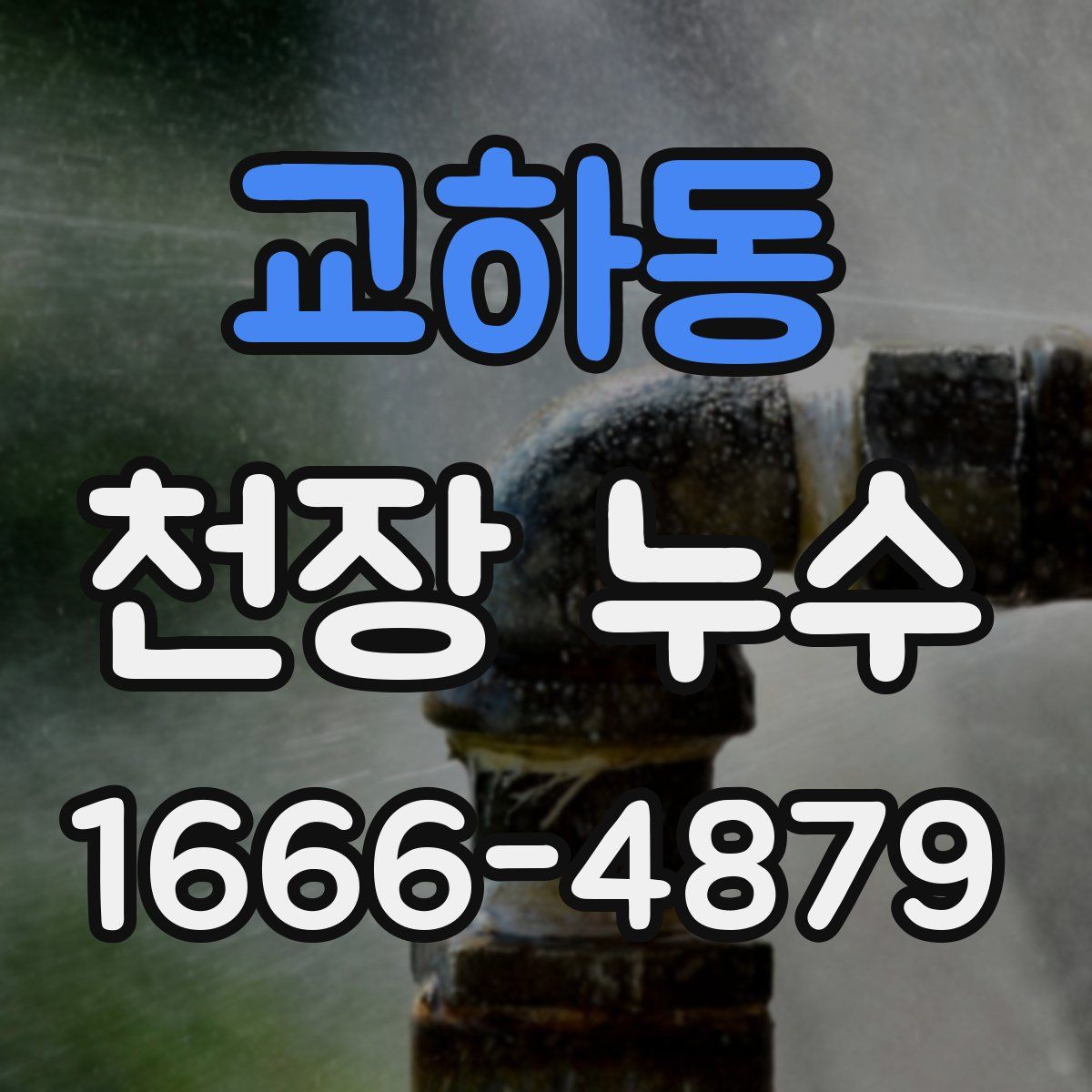 교하동 천장 누수