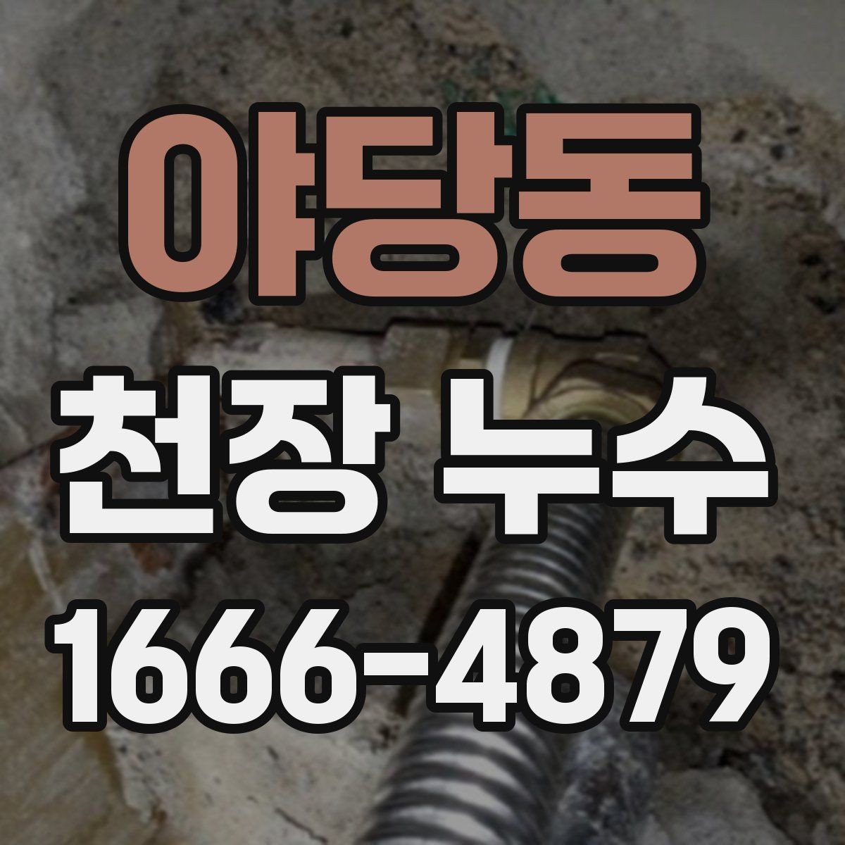 야당동 천장 누수 바닥까지 젖기 전에 해야 할 것