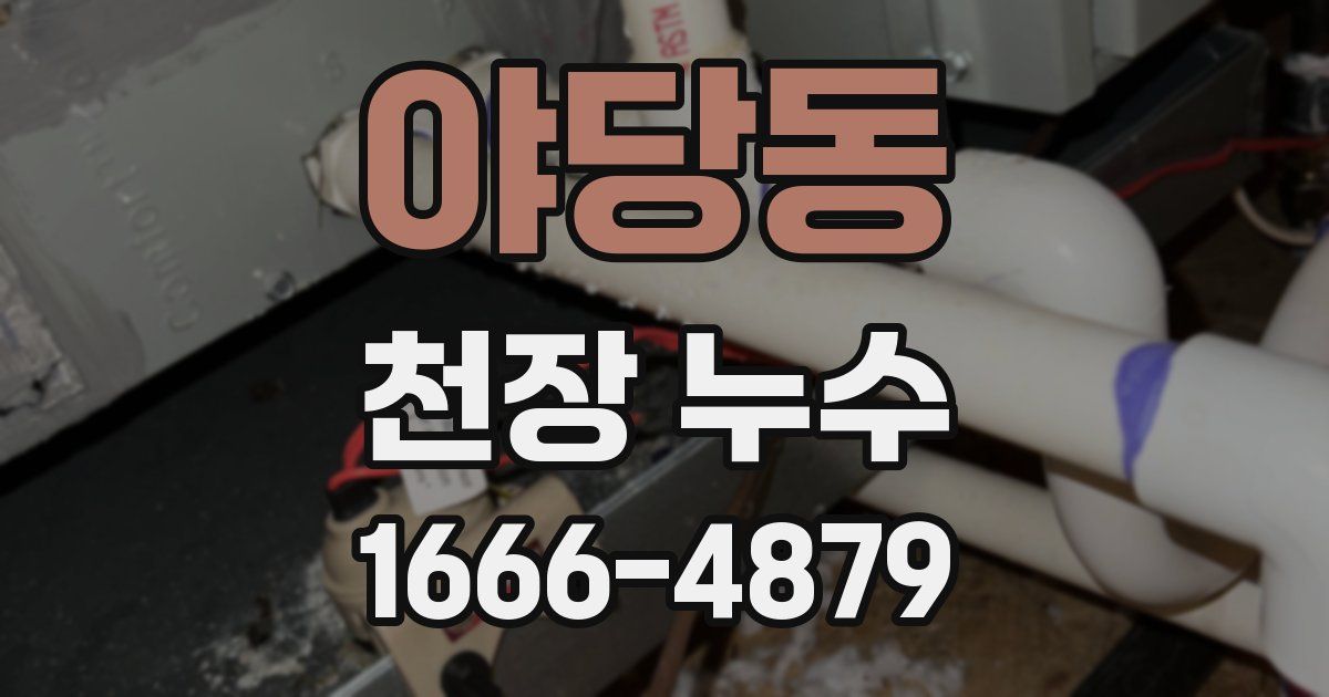 야당동 천장 누수