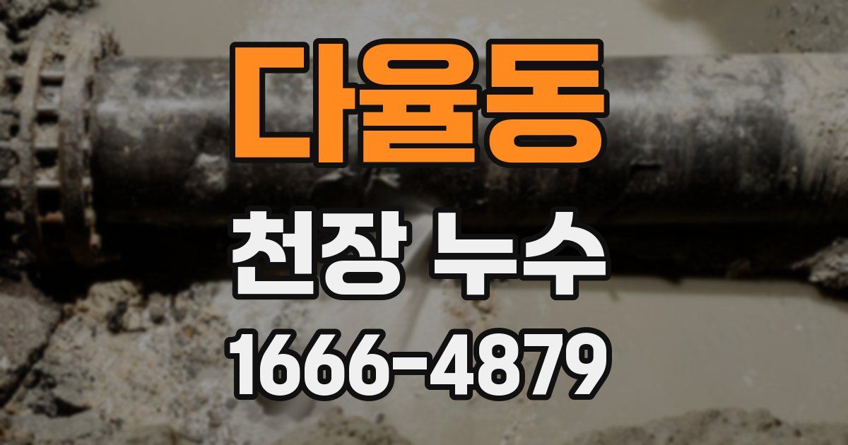 다율동 천장 누수