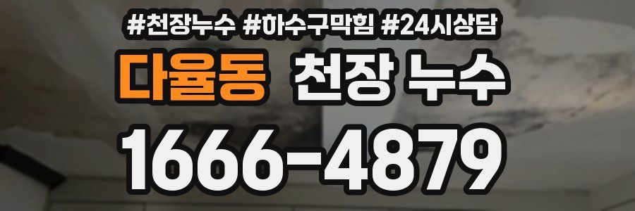 다율동 천장 누수