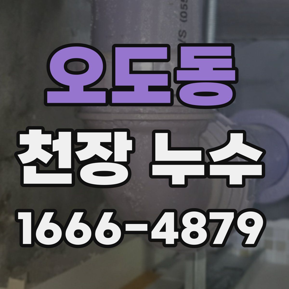 오도동 천장 누수