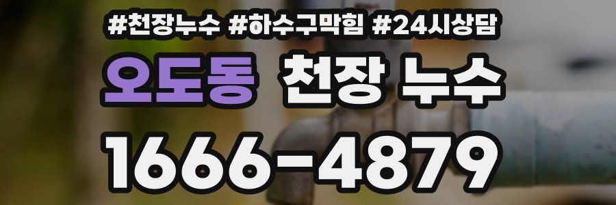 오도동 천장 누수