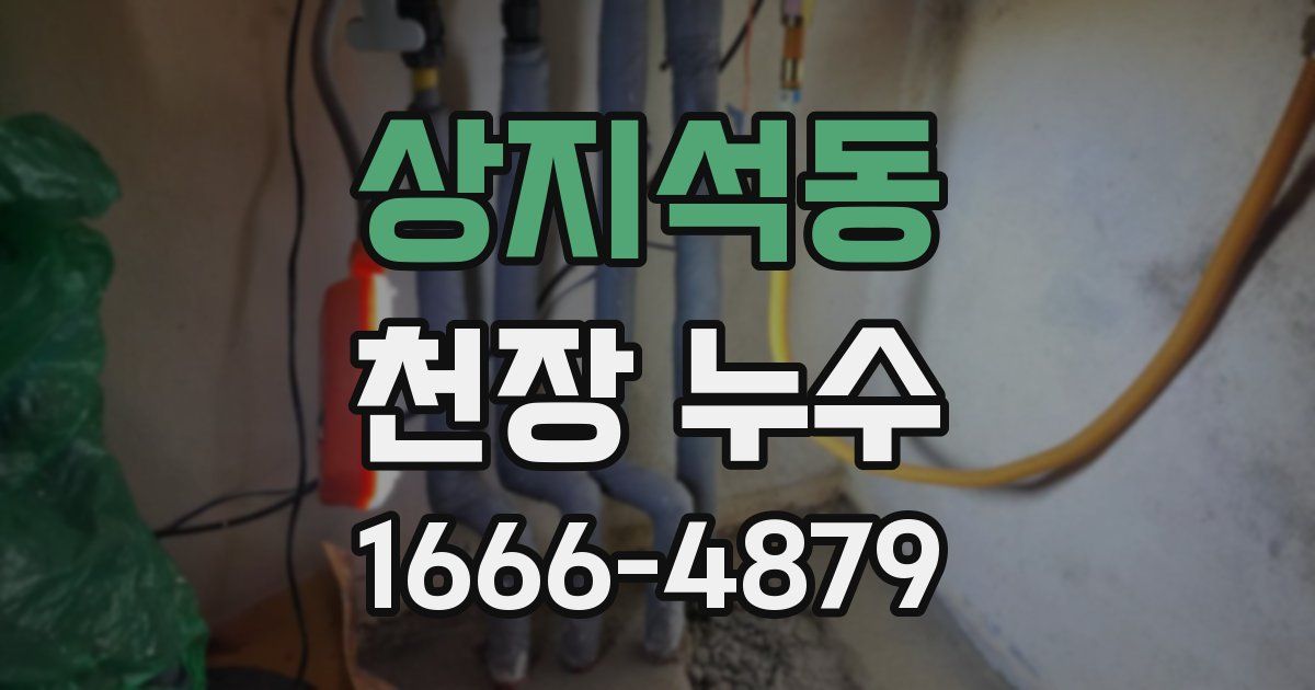 상지석동 천장 누수