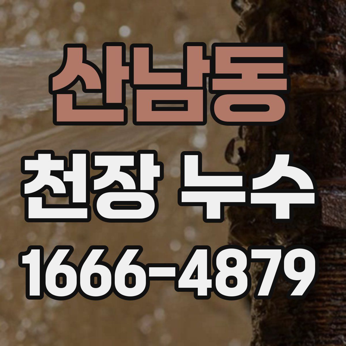 산남동 천장 누수