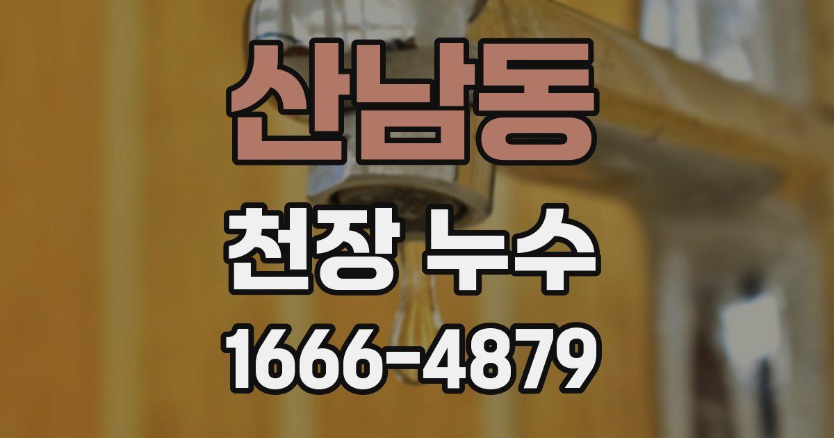 산남동 천장 누수