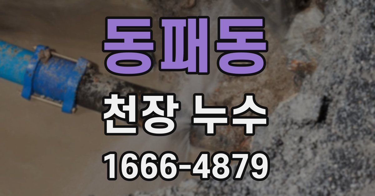 동패동 천장 누수