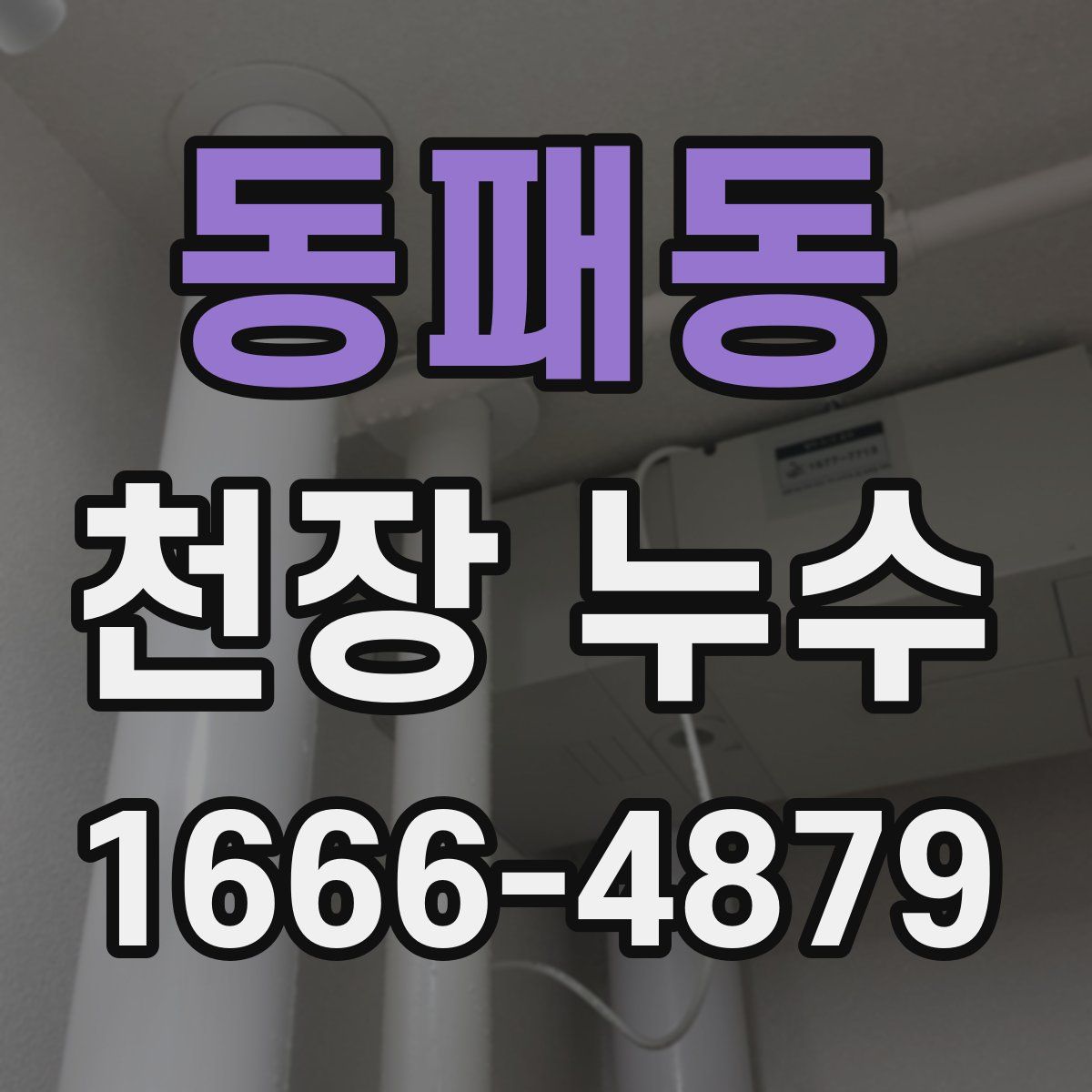 동패동 천장 누수