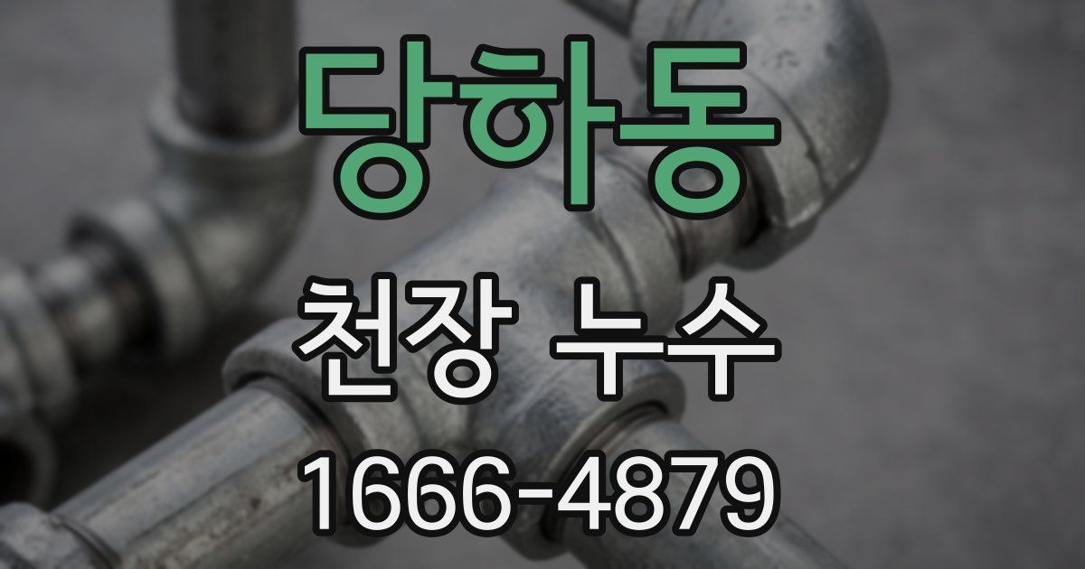 당하동 천장 누수