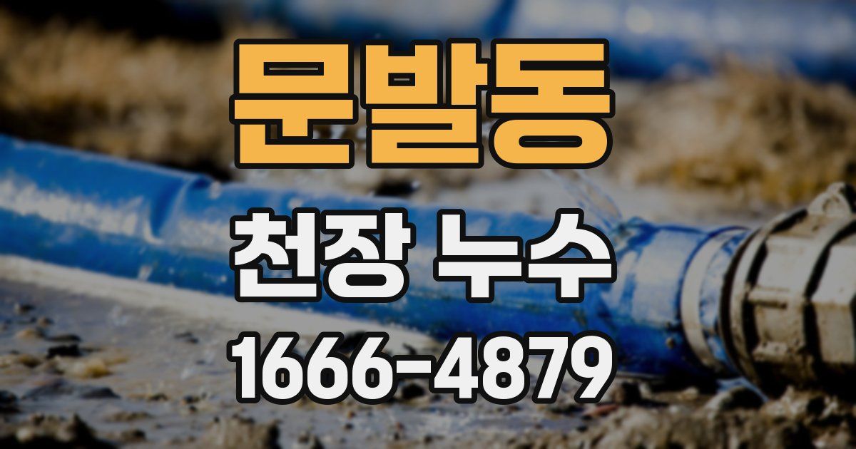 문발동 천장 누수