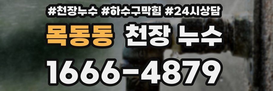 목동동 천장 누수