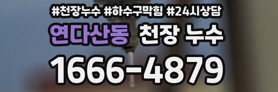 연다산동 천장 누수