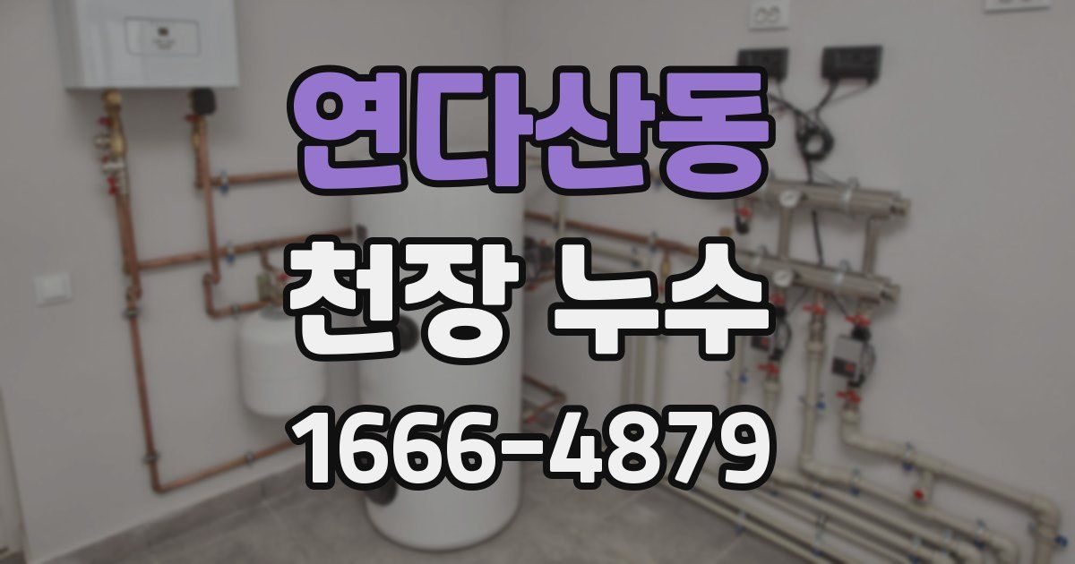 연다산동 천장 누수