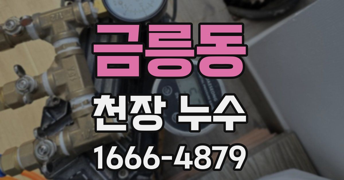 금릉동 천장 누수