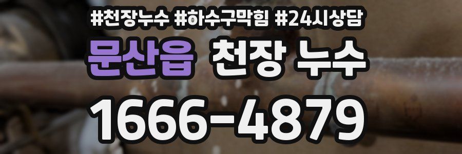 문산읍 천장 누수