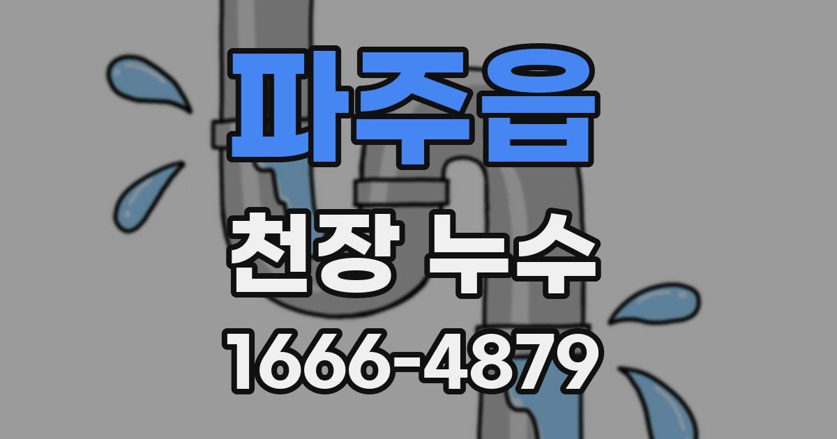 파주읍 천장 누수