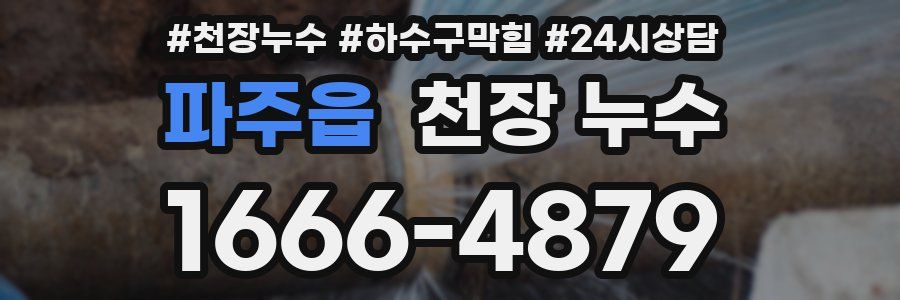 파주읍 천장 누수