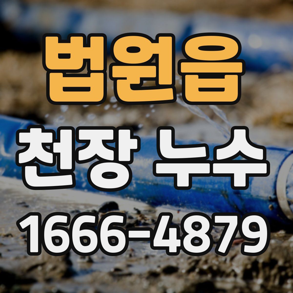 법원읍 천장 누수