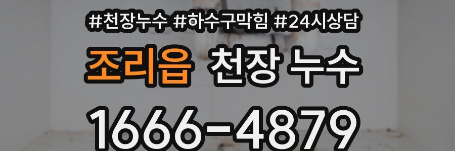 조리읍 천장 누수