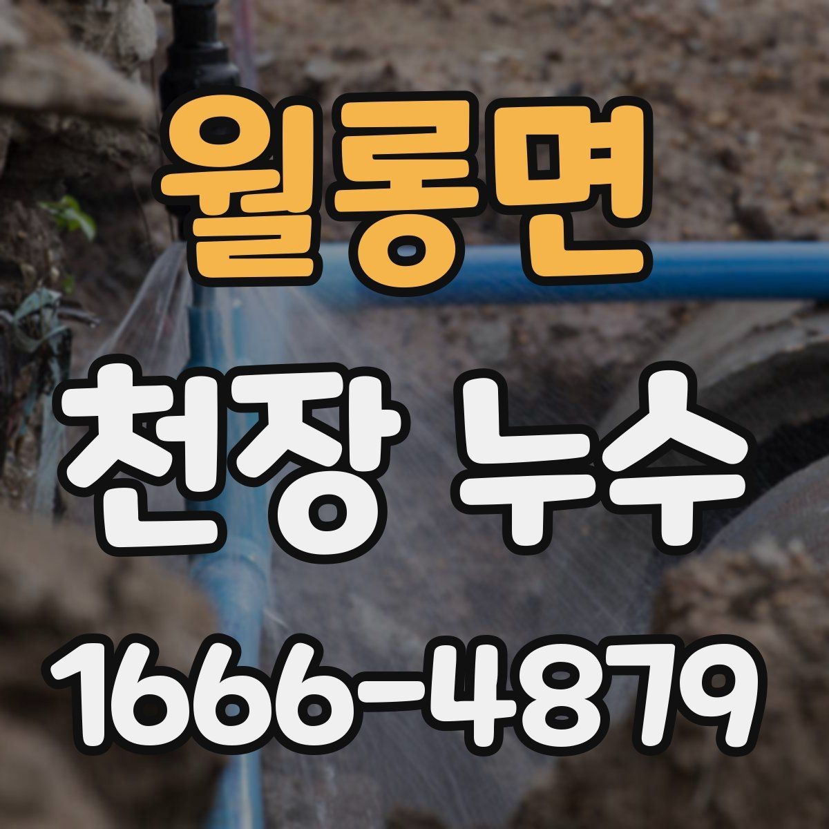 월롱면 천장 누수 천장 위에서 뚝뚝 소리가 날 때 확인할 것