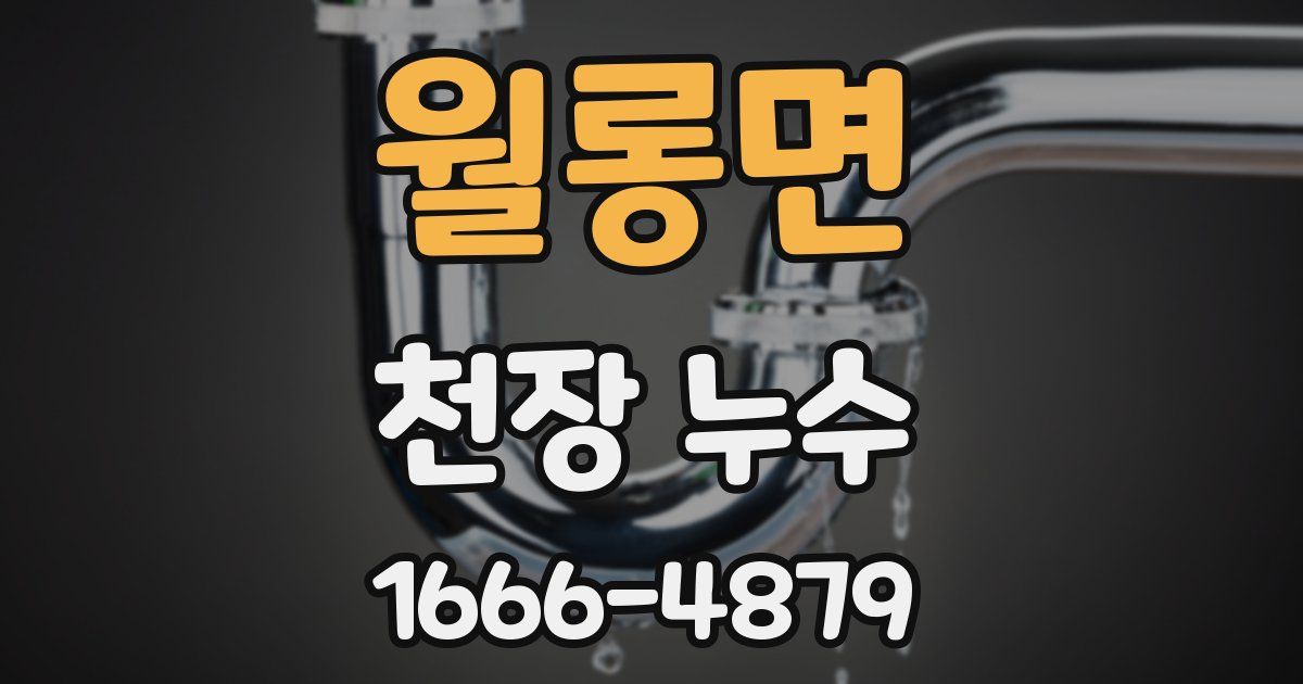 월롱면 천장 누수