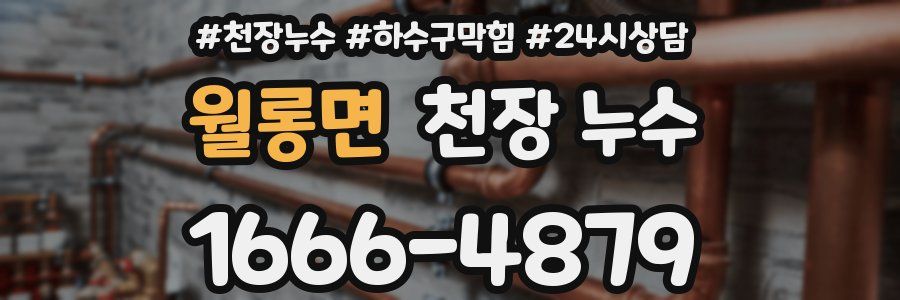 월롱면 천장 누수