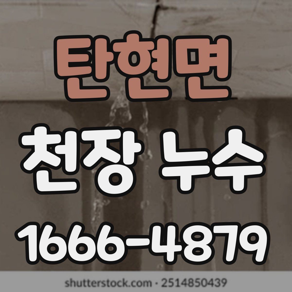 탄현면 천장 누수 천장재 안전이 걱정된다면