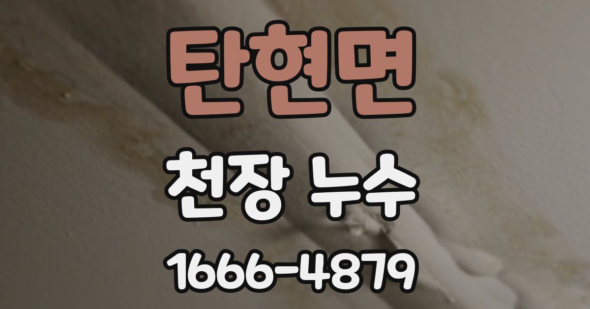 탄현면 천장 누수