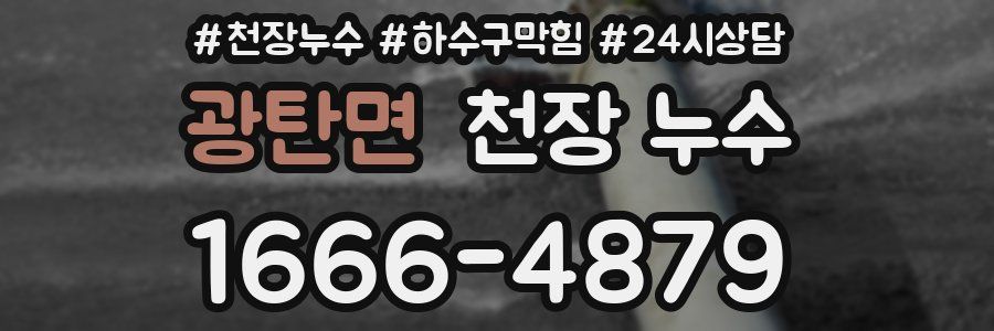 광탄면 천장 누수