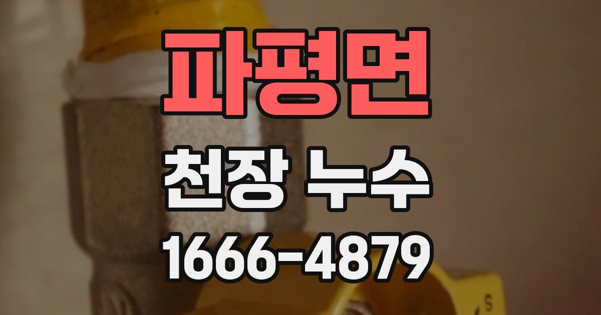 파평면 천장 누수