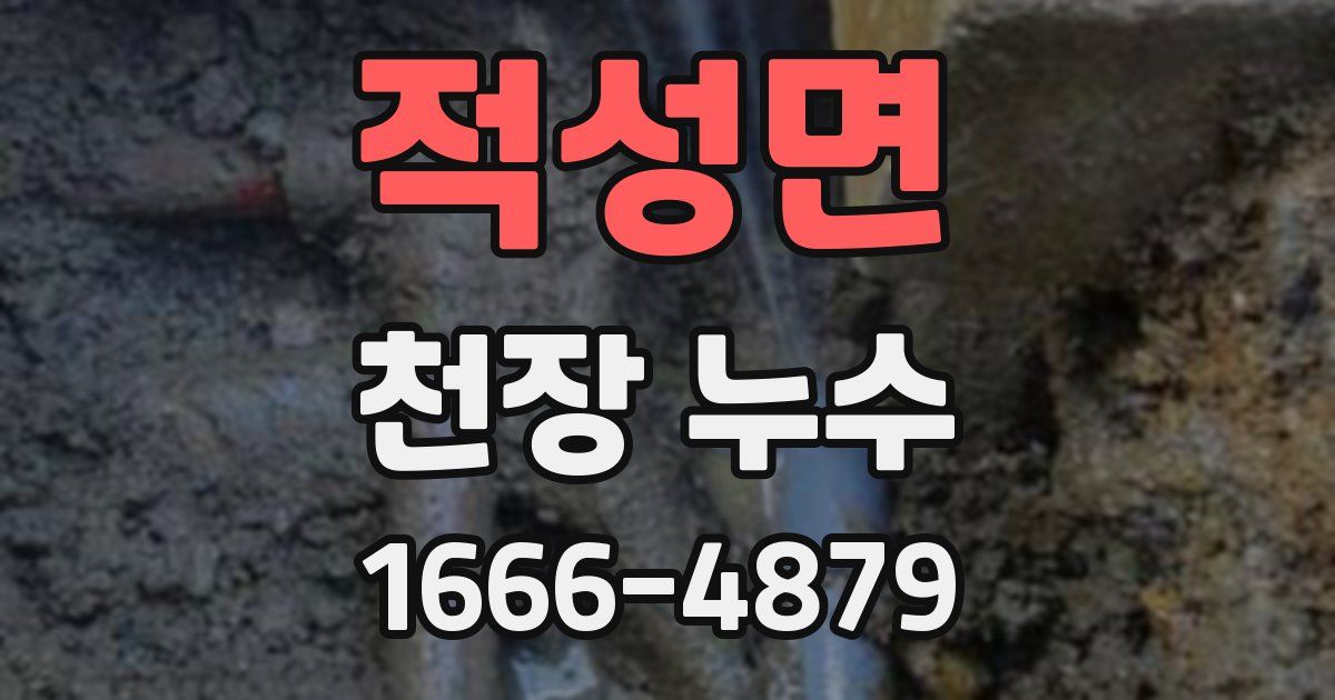 적성면 천장 누수