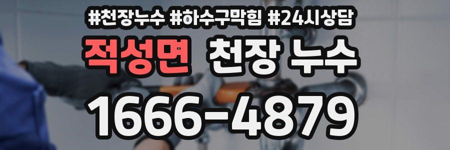 적성면 천장 누수