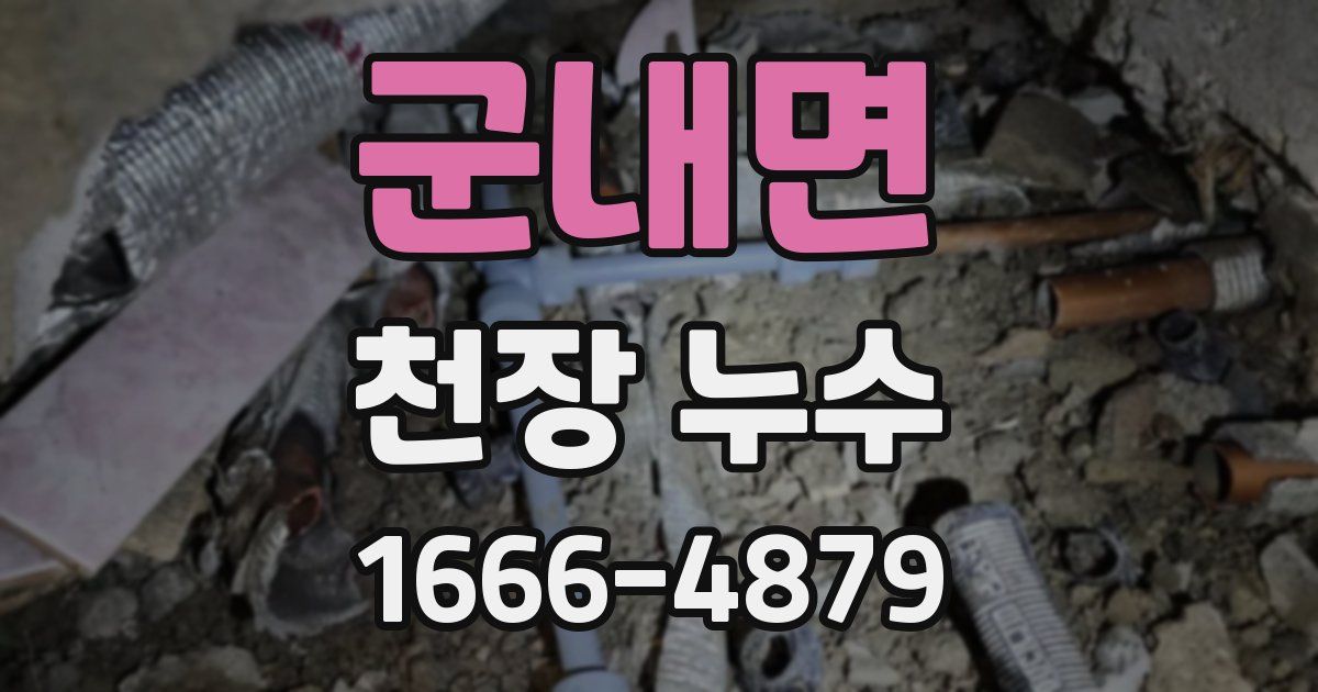 군내면 천장 누수