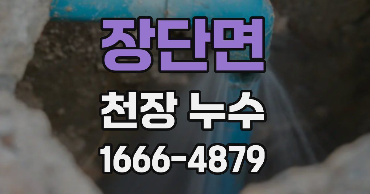 장단면 천장 누수