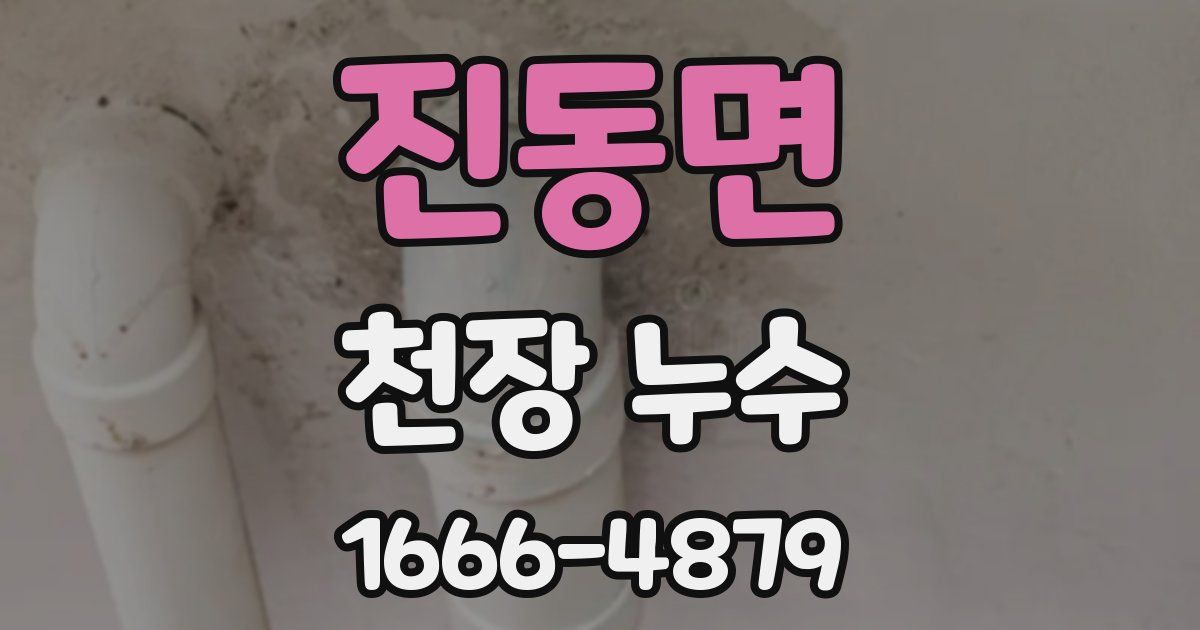 진동면 천장 누수