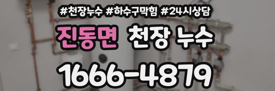 진동면 천장 누수