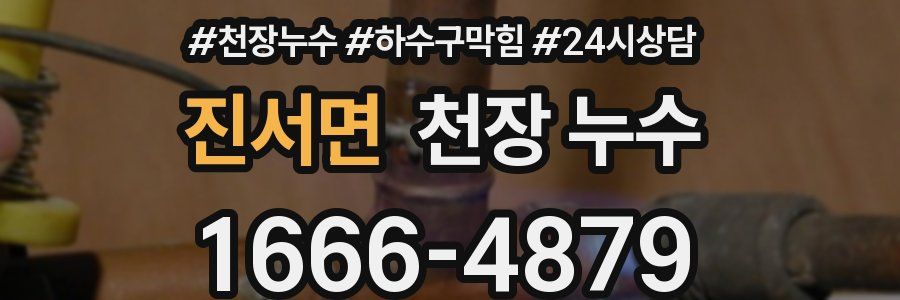 진서면 천장 누수