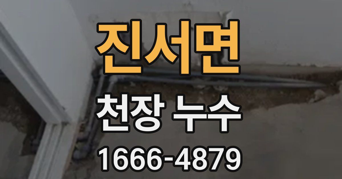 진서면 천장 누수