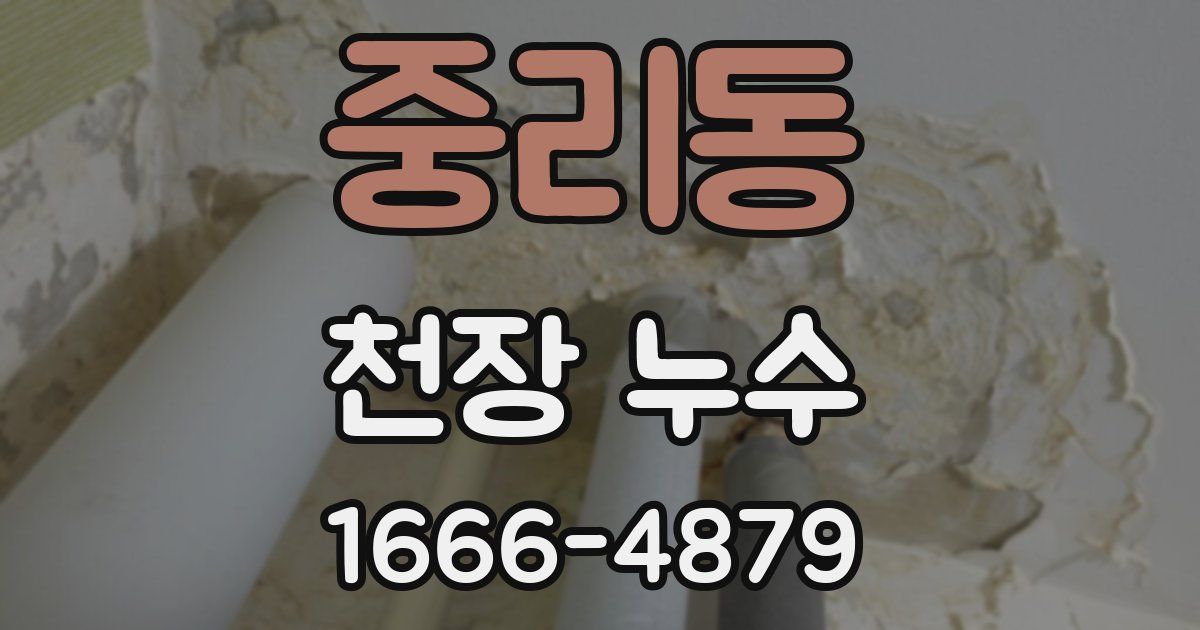 중리동 천장 누수