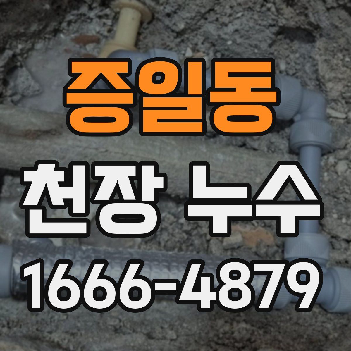 증일동 천장 누수