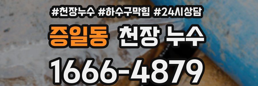 증일동 천장 누수