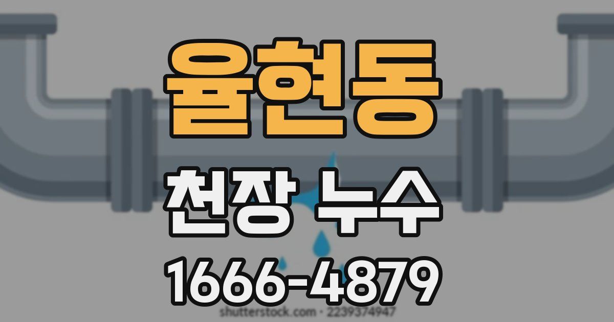 율현동 천장 누수