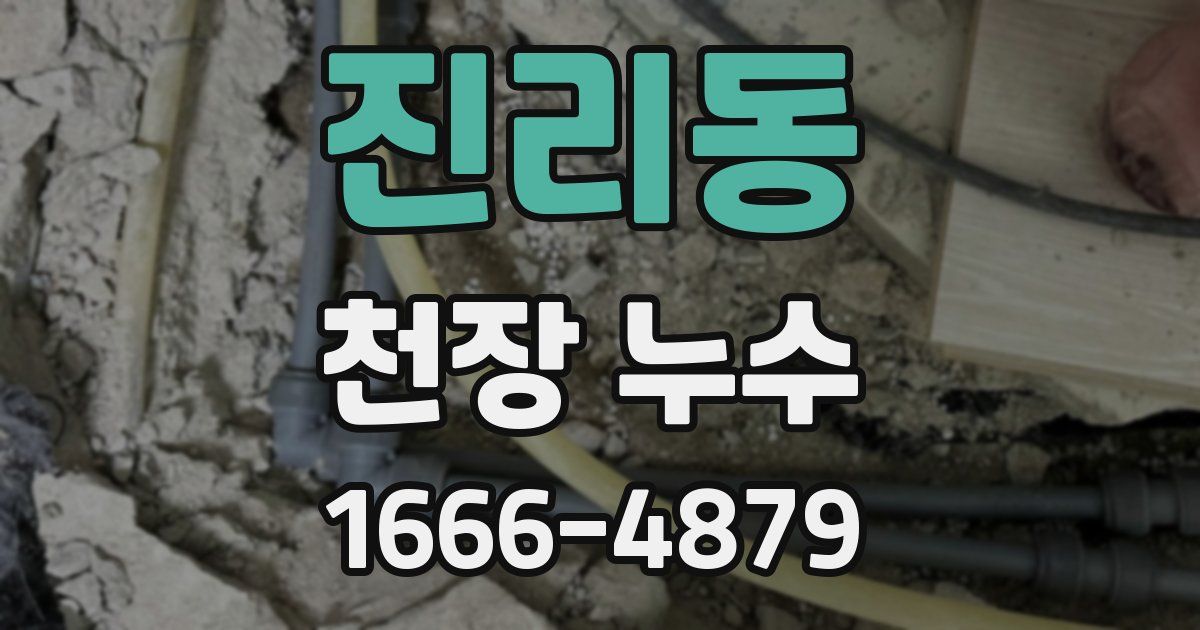 진리동 천장 누수