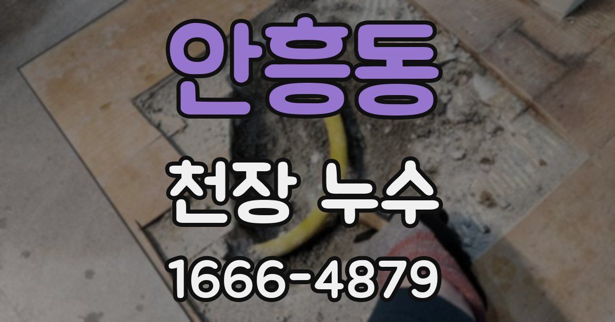 안흥동 천장 누수