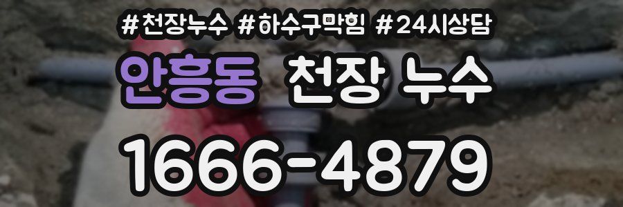 안흥동 천장 누수