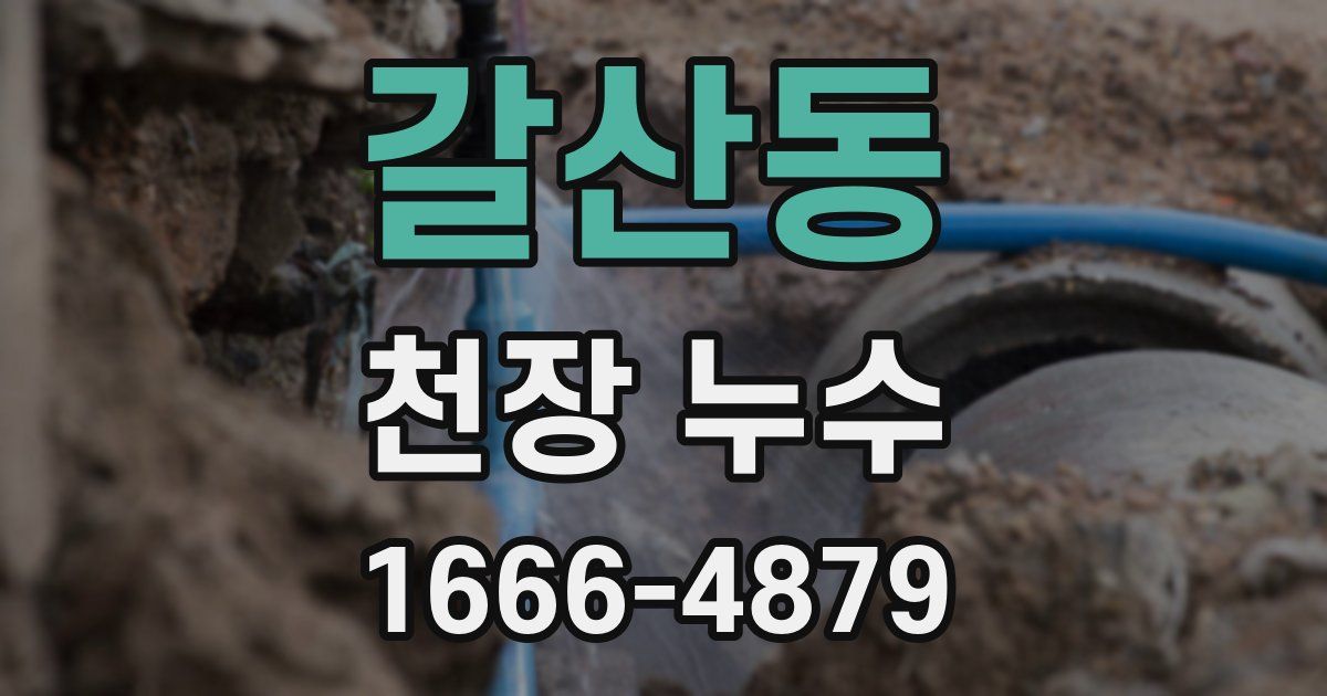 갈산동 천장 누수