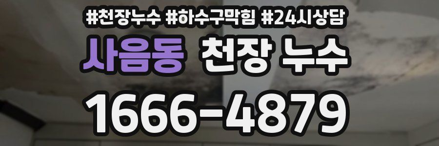 사음동 천장 누수