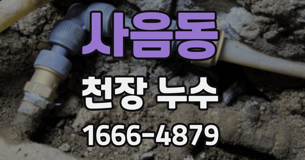 사음동 천장 누수